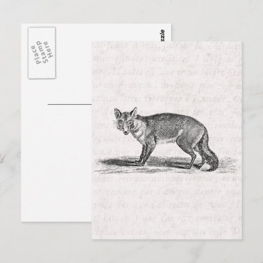  Foxy Fox Illustration - 1800's Foxes Briefkaart (Voorkant / Achterkant)