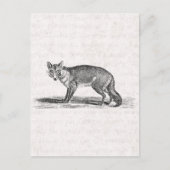  Foxy Fox Illustration - 1800's Foxes Briefkaart (Voorkant)