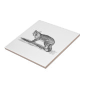  Foxy Fox Illustration - 1800's Foxes Tegeltje (Zijkant)