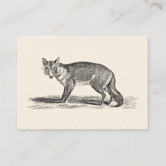  Foxy Fox Illustration - 1800's Foxes Visitekaartje (Voorkant)