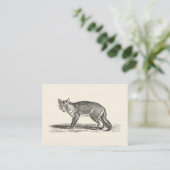  Foxy Fox Illustration - 1800's Foxes Visitekaartje (Staand voorkant)