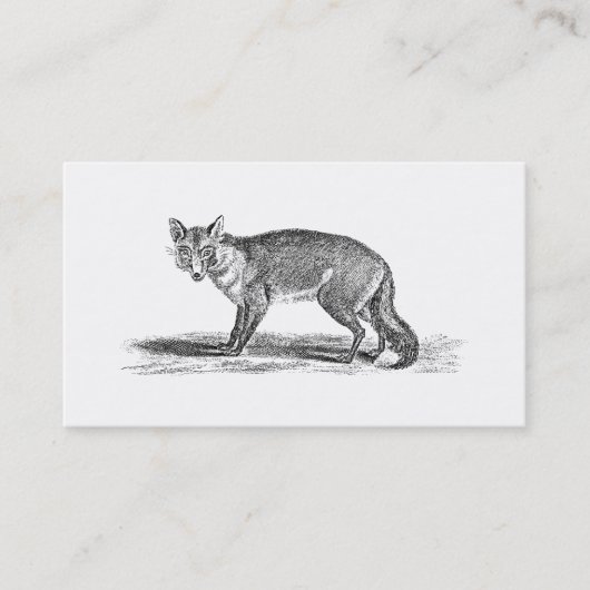  Foxy Fox Illustration - 1800's Foxes Visitekaartje (Voorkant)