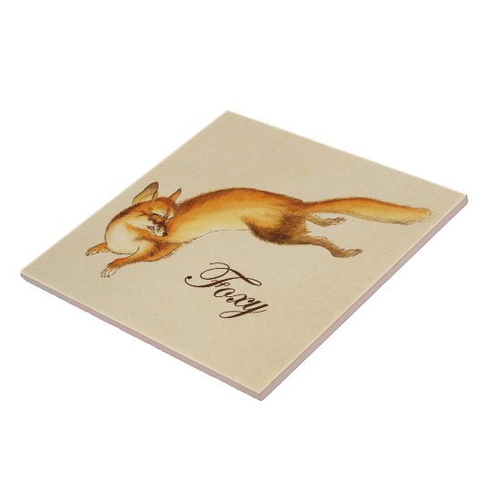 "Foxy" —  Japanse schets van vossen Tegeltje (Zijkant)