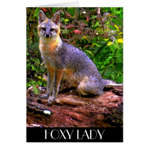 FOXY LADY