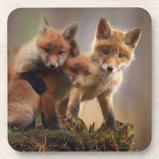 Foxy Triplets Bier Onderzetter (Voorkant)