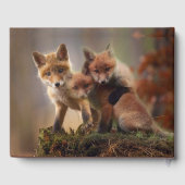 Foxy Triplets Gastenboek (Achterkant)