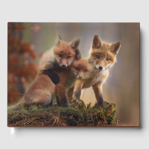 Foxy Triplets Gastenboek