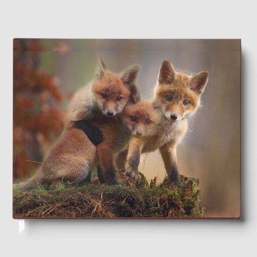 Foxy Triplets Gastenboek (Voorkant)