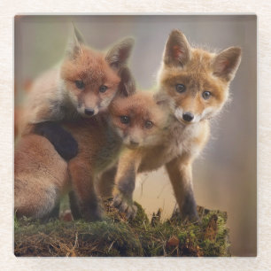 Foxy Triplets Glazen Onderzetter