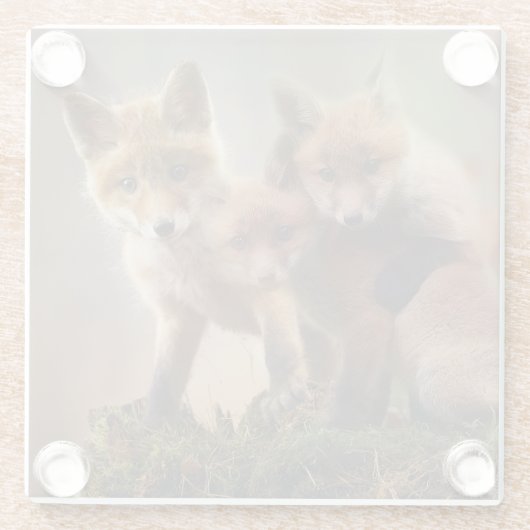 Foxy Triplets Glazen Onderzetter (Achterkant)