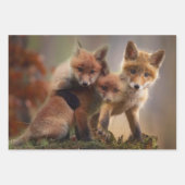 Foxy Triplets Inpakpapier Vel (Voorkant 3)
