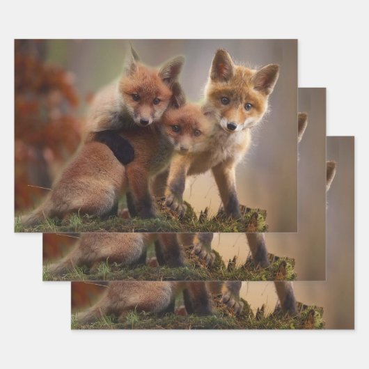 Foxy Triplets Inpakpapier Vel (Set)