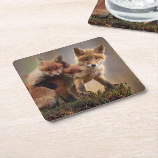 Foxy Triplets Kartonnen Onderzetters (Schuin)