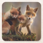 Foxy Triplets Kartonnen Onderzetters (Voorkant)
