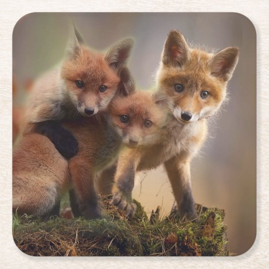 Foxy Triplets Kartonnen Onderzetters (Voorkant)