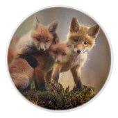 Foxy Triplets Keramische Knop (Voorkant)
