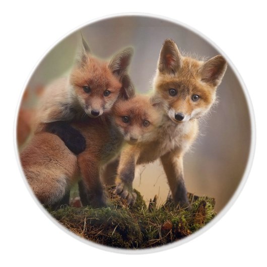 Foxy Triplets Keramische Knop (Voorkant)