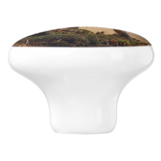 Foxy Triplets Keramische Knop (Zijkant)