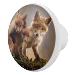 Foxy Triplets Keramische Knop