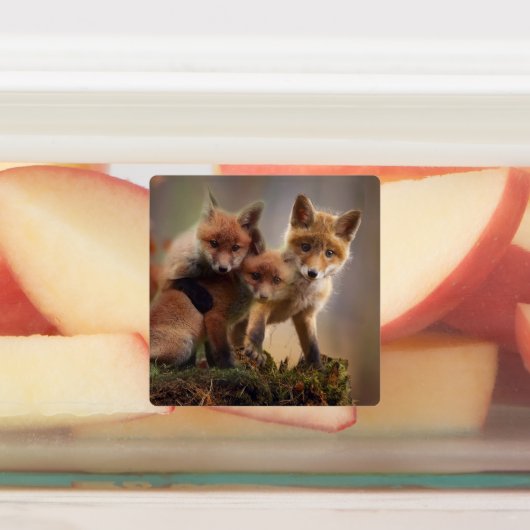 Foxy Triplets Labels (Aangebracht)