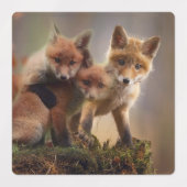Foxy Triplets Labels (Design 1)