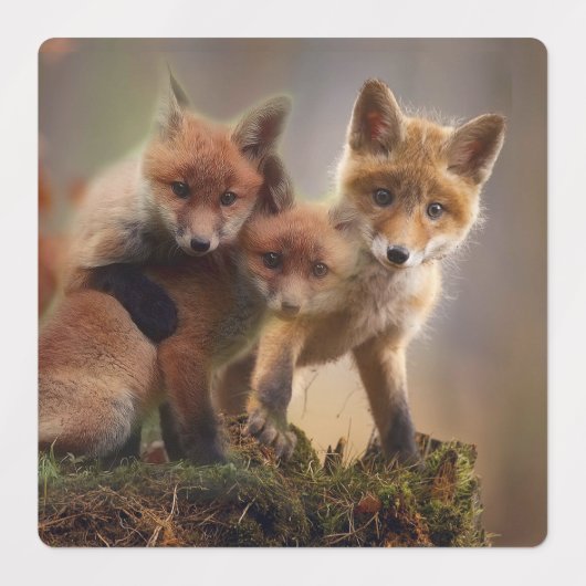 Foxy Triplets Labels (Design 1)
