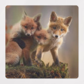 Foxy Triplets Labels (Design 2)