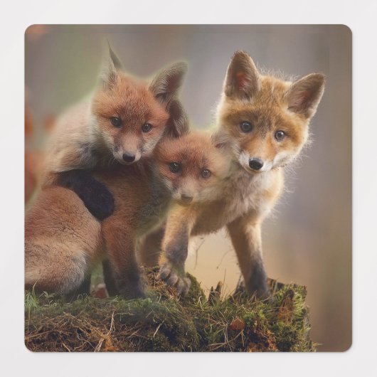 Foxy Triplets Labels (Design 2)