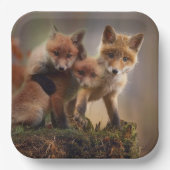 Foxy Triplets Papieren Bordje (Voorkant)