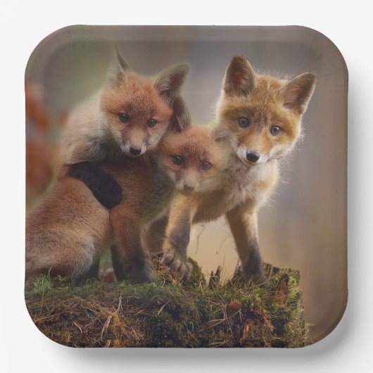Foxy Triplets Papieren Bordje (Voorkant)