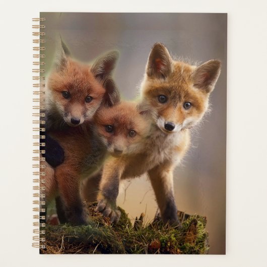 Foxy Triplets Planner (Voorkant)