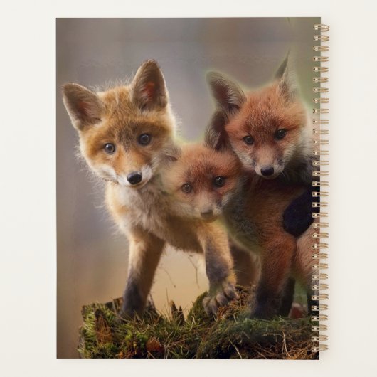 Foxy Triplets Planner (Achterkant)