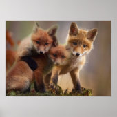 Foxy Triplets Poster (Voorkant)