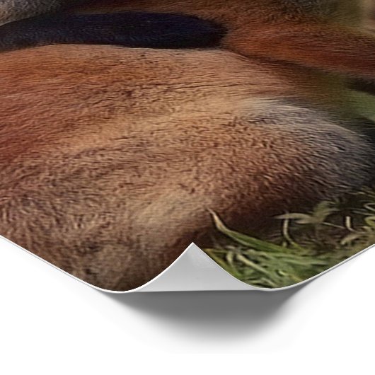 Foxy Triplets Poster (Hoek)