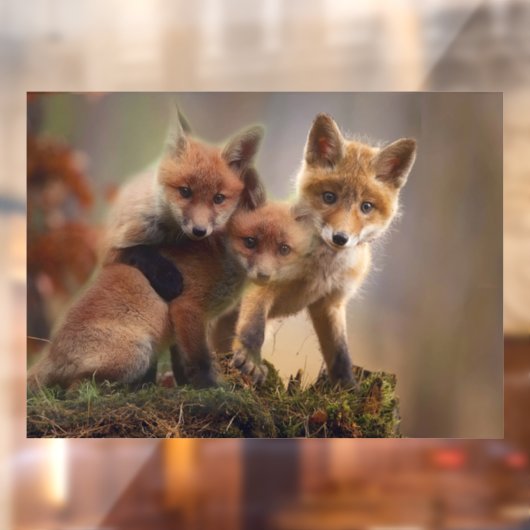 Foxy Triplets Raamsticker (Vel 2)