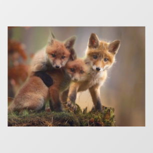 Foxy Triplets Raamsticker