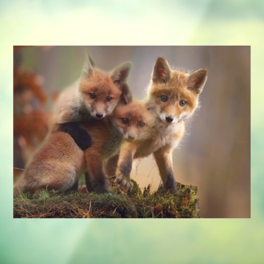 Foxy Triplets Raamsticker (Vel 3)