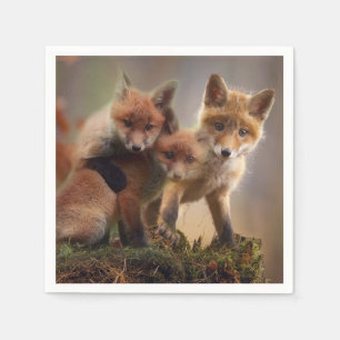 Foxy Triplets Servet