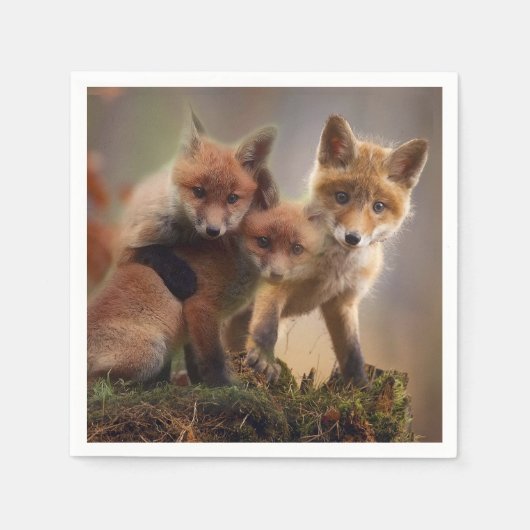 Foxy Triplets Servet (Voorkant)