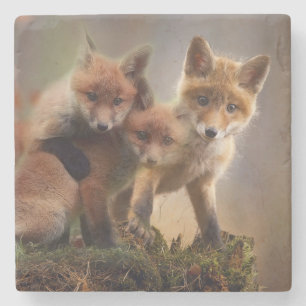 Foxy Triplets Stenen Onderzetter