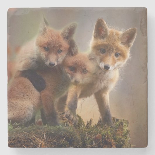 Foxy Triplets Stenen Onderzetter (Voorkant)