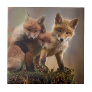 Foxy Triplets Tegeltje
