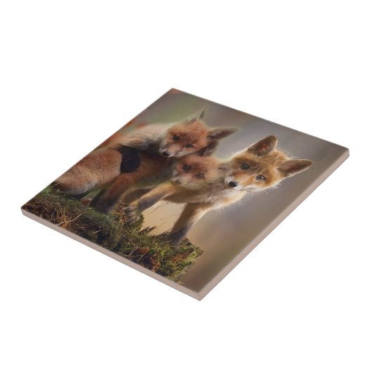 Foxy Triplets Tegeltje (Zijkant)