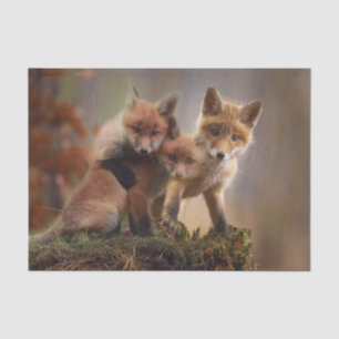 Foxy Triplets Tissuepapier