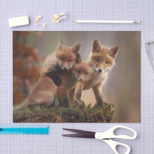 Foxy Triplets Tissuepapier (Craft)