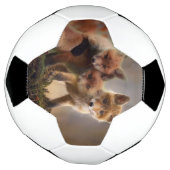 Foxy Triplets Voetbal (Gedraaid)