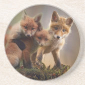 Foxy Triplets Zandsteen Onderzetter (Voorkant)