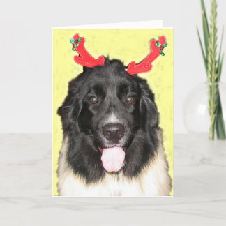 FPG Kerstmis Newfie Feestdagen Kaart