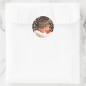 FPG Xmas Birmees 2 - Ronde Sticker (Tas)