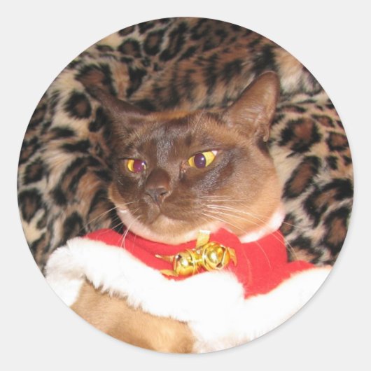 FPG Xmas Birmees 2 - Ronde Sticker (Voorkant)
